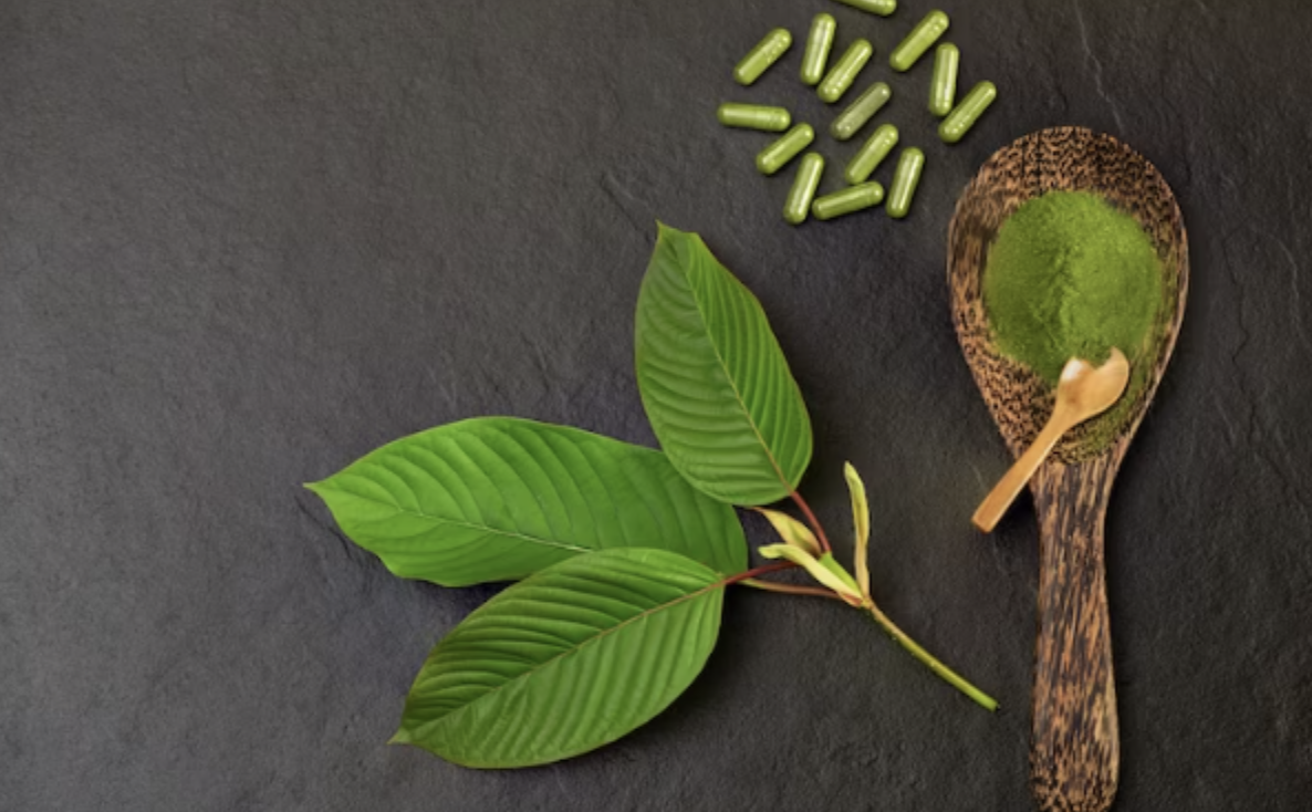 Why Sumatra Kratom Is Popular Among Wellness Enthusiasts Today